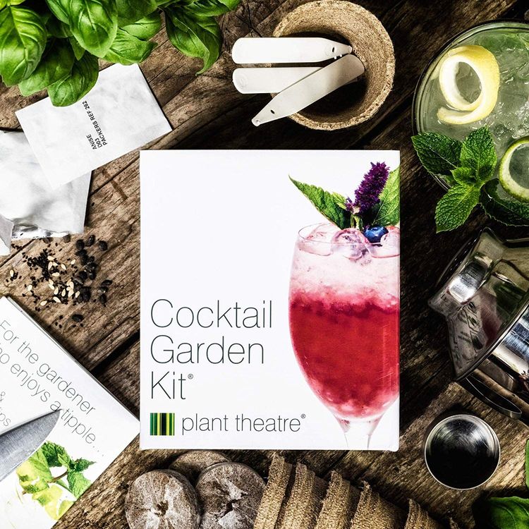 plantes-cocktail-pret-a-planter