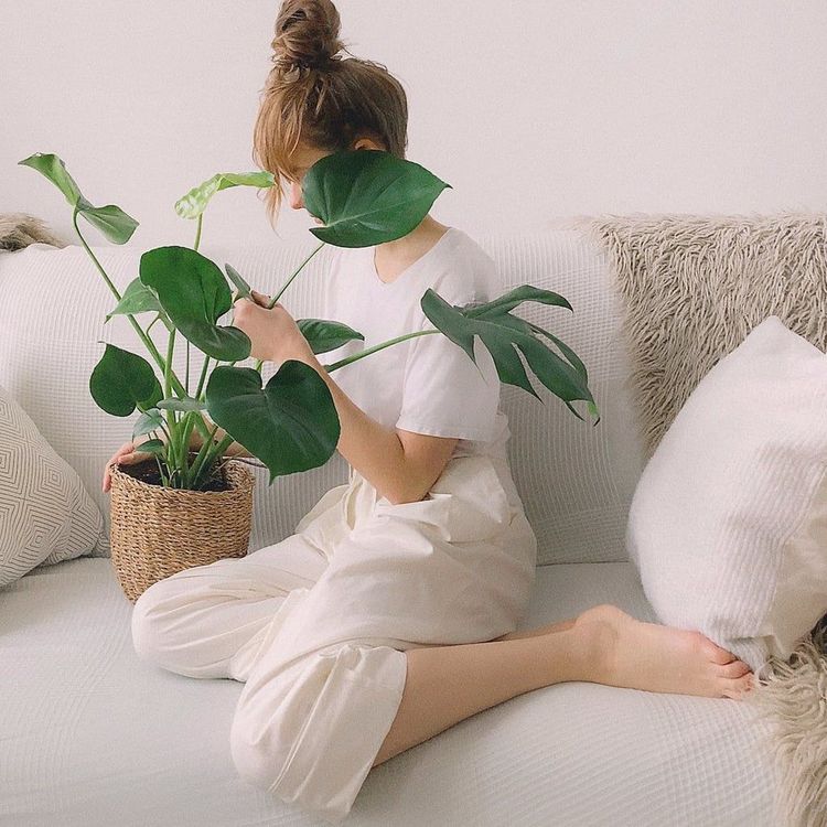plantes-vertes-interieur-salon