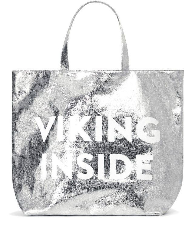 sac-viking-inside