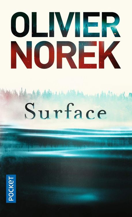 surface-olivier-norek-avis