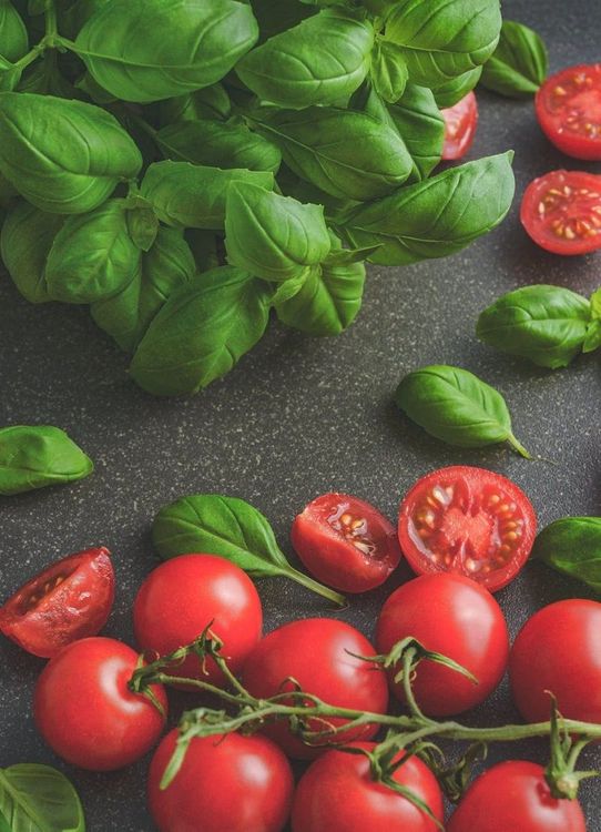 tomates-grappes-basilic
