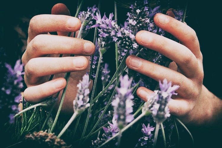 Quelles huiles essentielles aident à maigrir ?