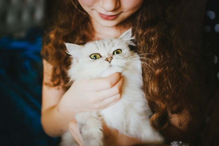 Pourquoi on vit plus longtemps grâce aux chats ?