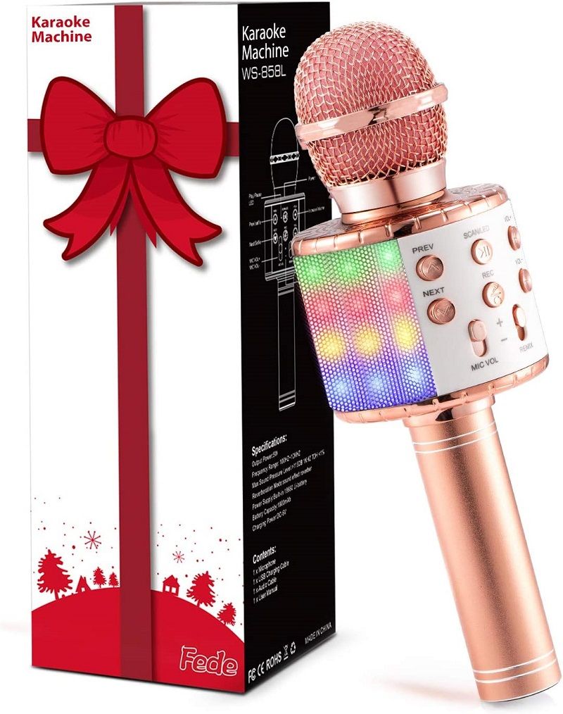 micro-karaoke-pas-cher