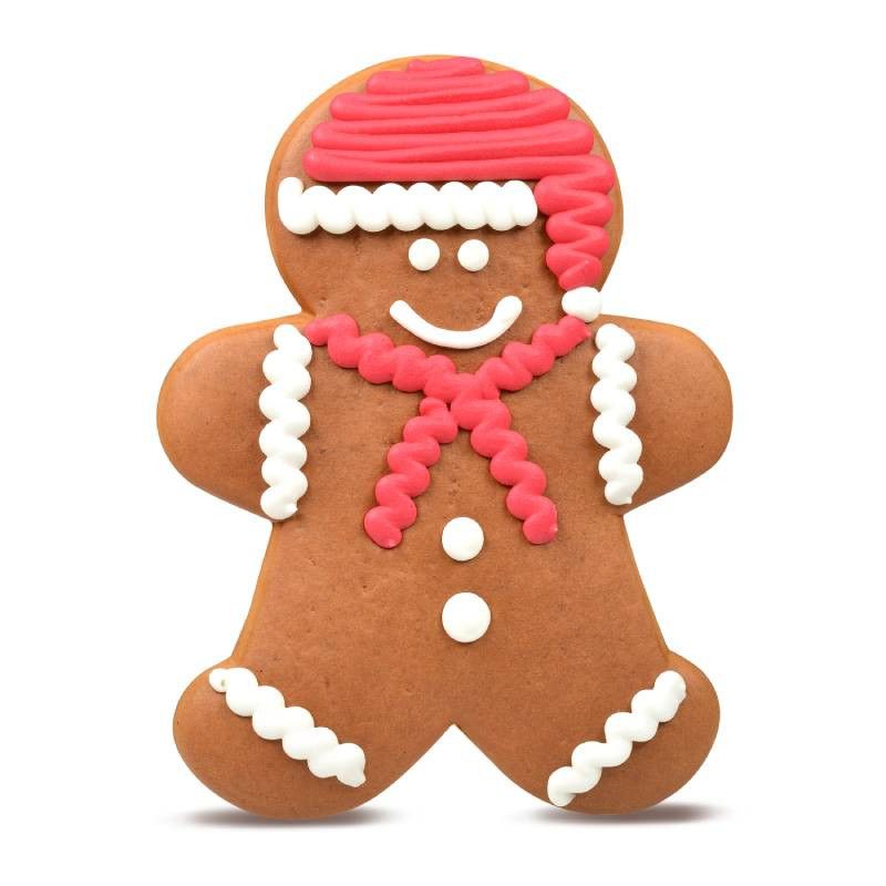 monsieur-pain-d-epices-decore-edition-noel-140-g