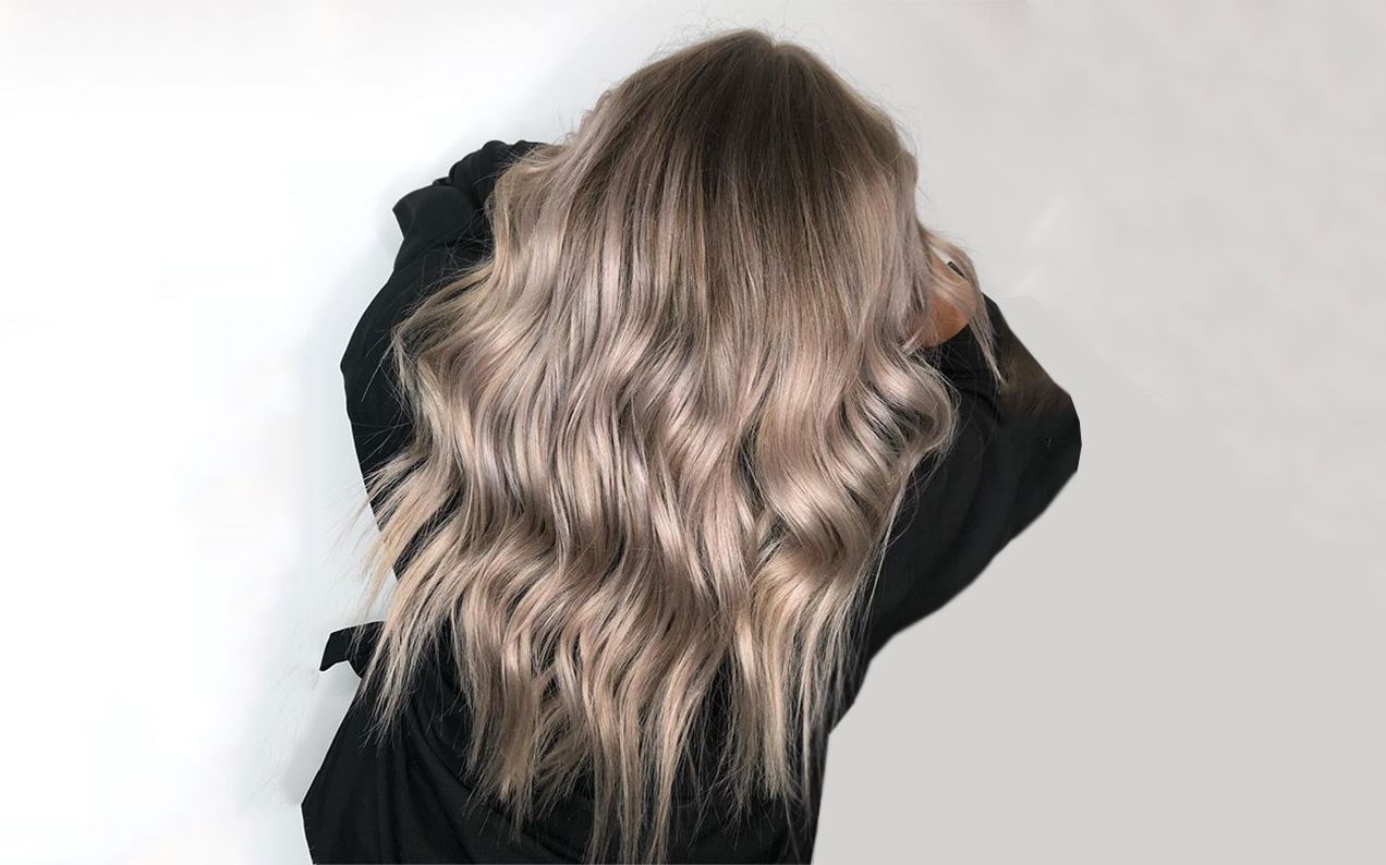 Coloration mushroom blond