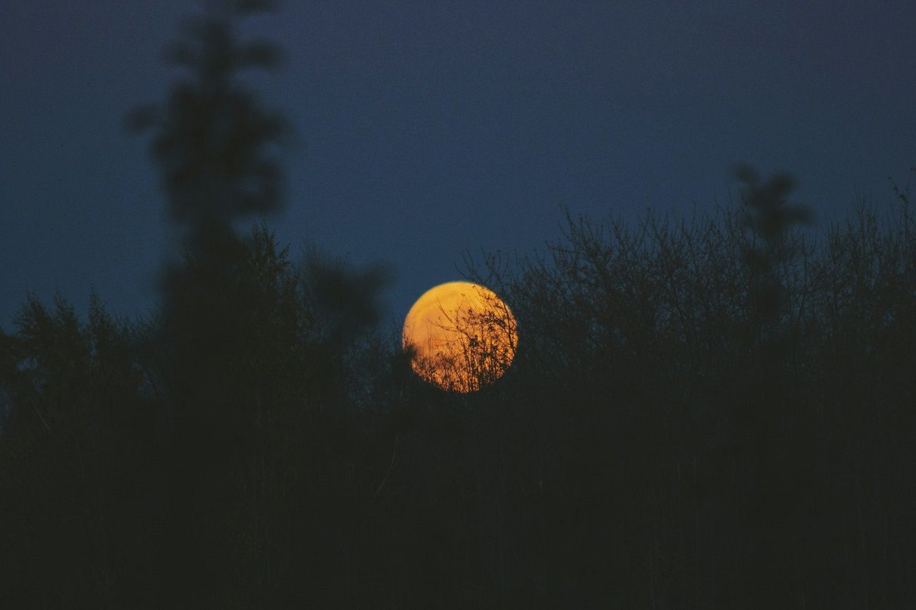 Nouvelle Lune du 21 octobre : ces 3 signes vont enfin r&eacute;v&eacute;ler qui ils sont vraiment