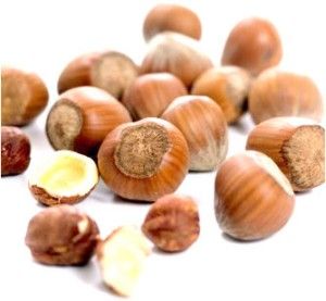 noisettes