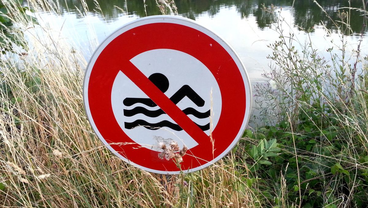 L’été 2025 marqué par une explosion des noyades : les autorités alertent face à un bilan dramatique