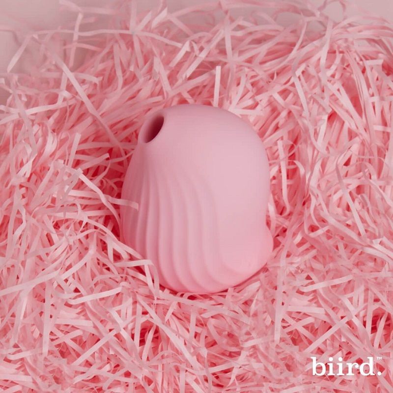 obiii-bird-sextoy-avis-rose-nid