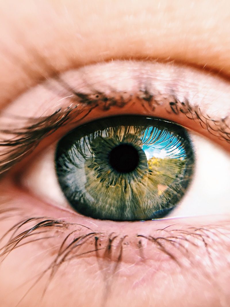 oeil-vert-reflets