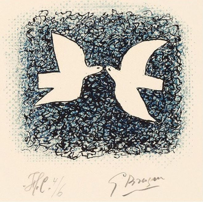 oiseaux