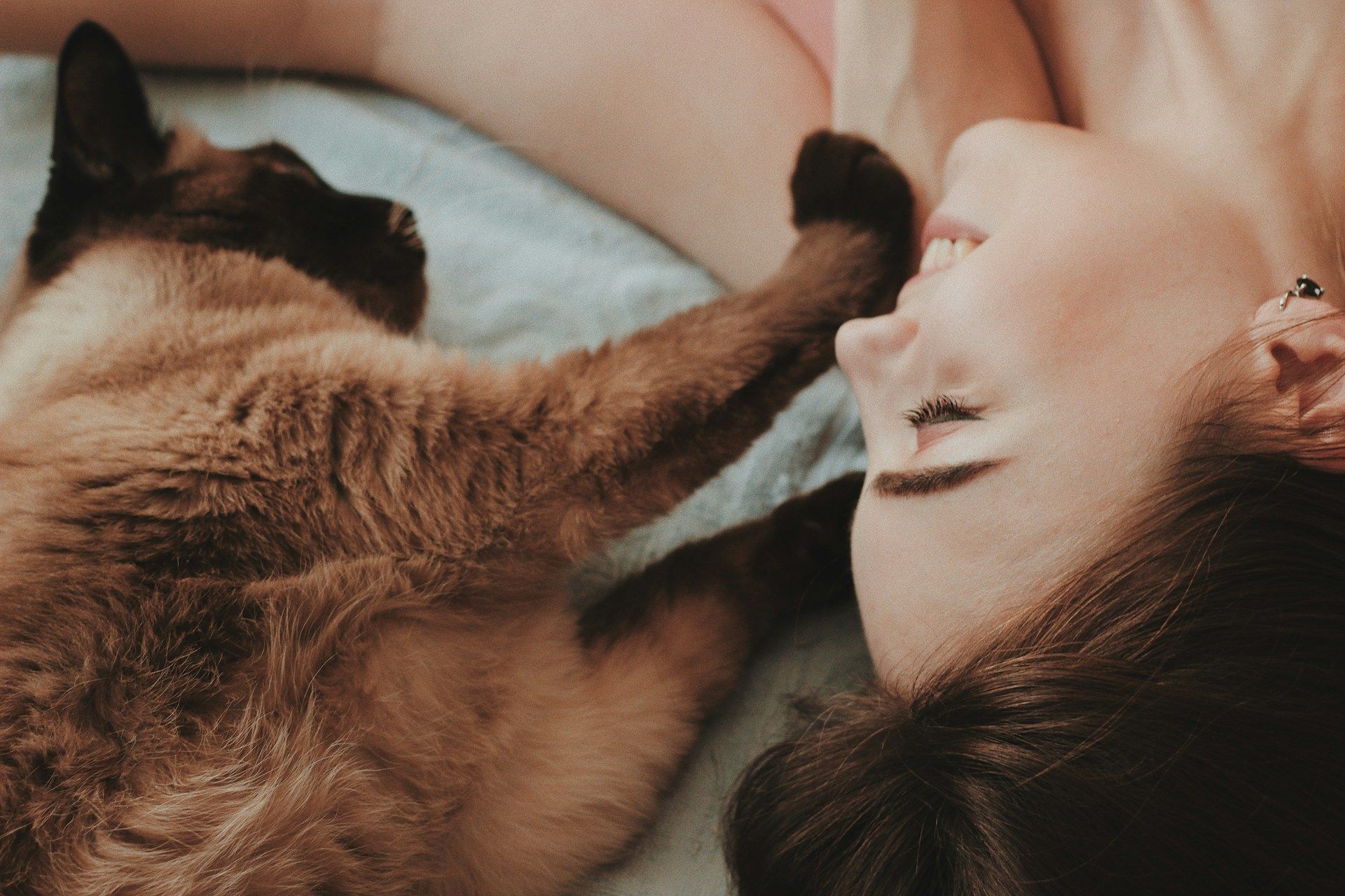 Consid&eacute;rer son chat comme un membre de la famille : une pratique tr&egrave;s courante.