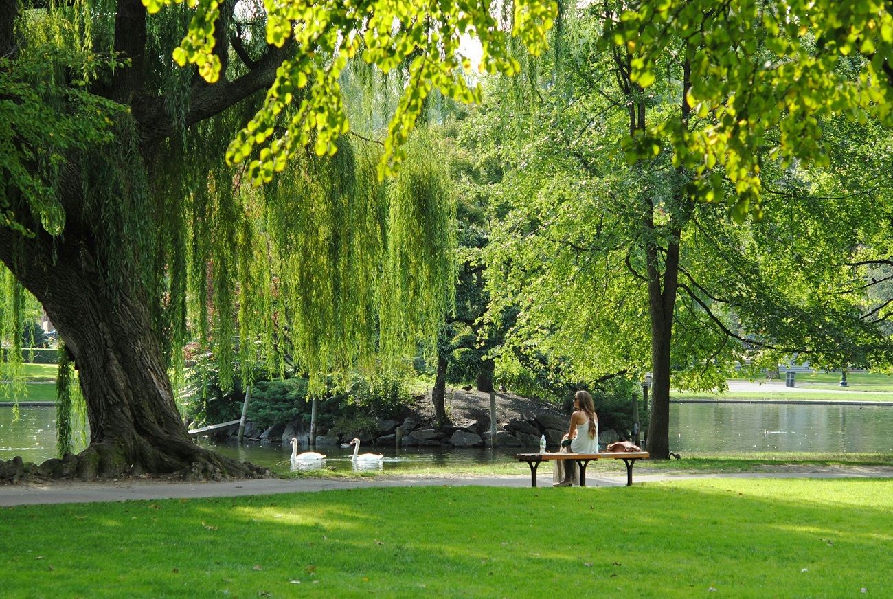 parc-cygnes