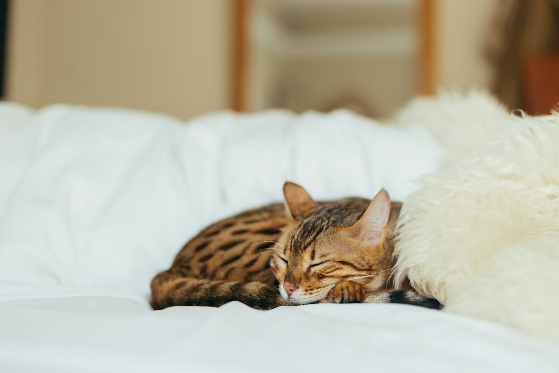 Les conseils pour une sieste reposante.