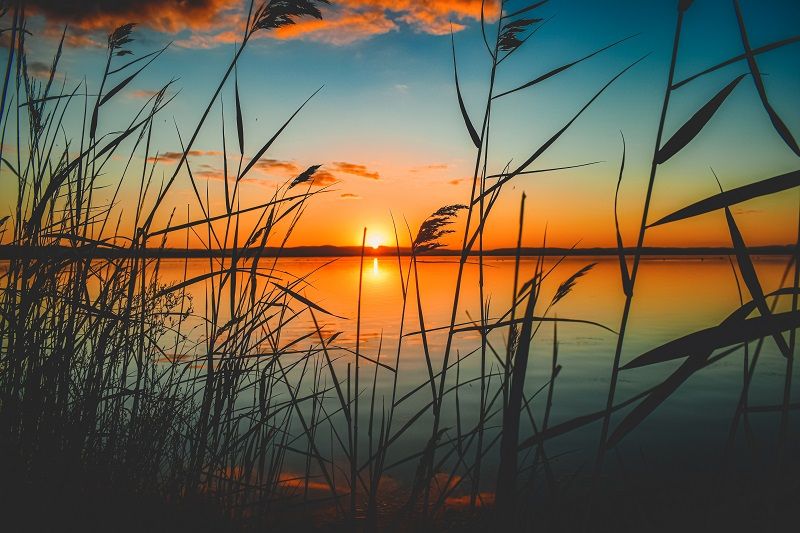 paysage-eau-soleil