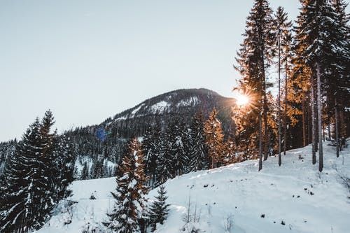paysage-neige
