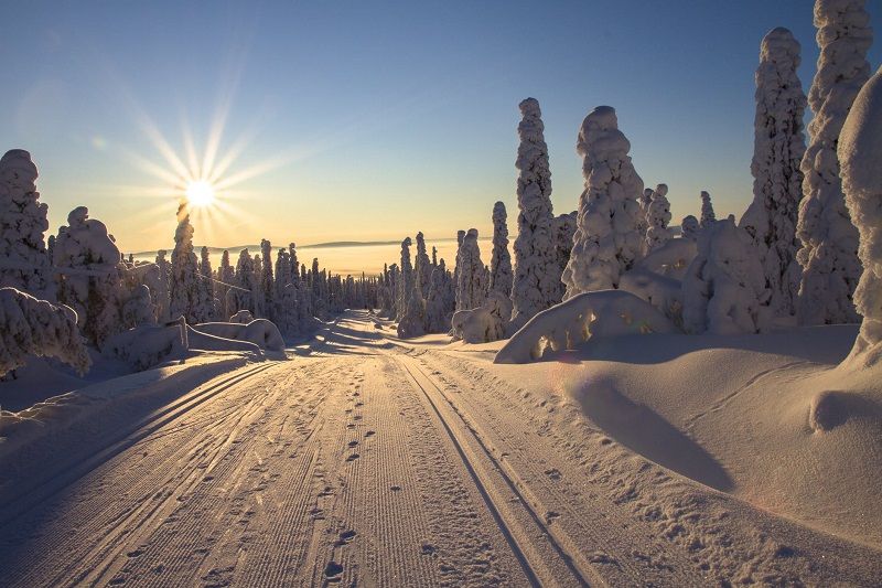 paysage-neige