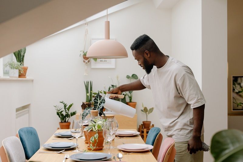 plantes-appartement