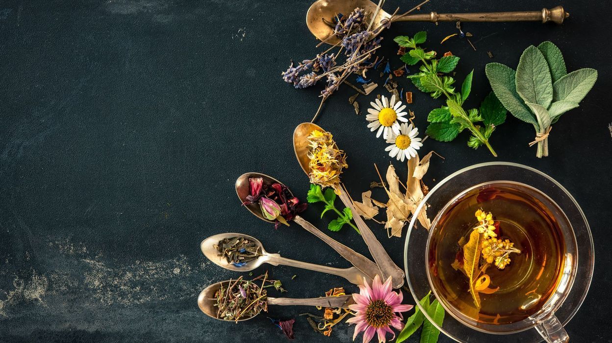 Quelles sont les meilleures plantes pour bien digérer ?