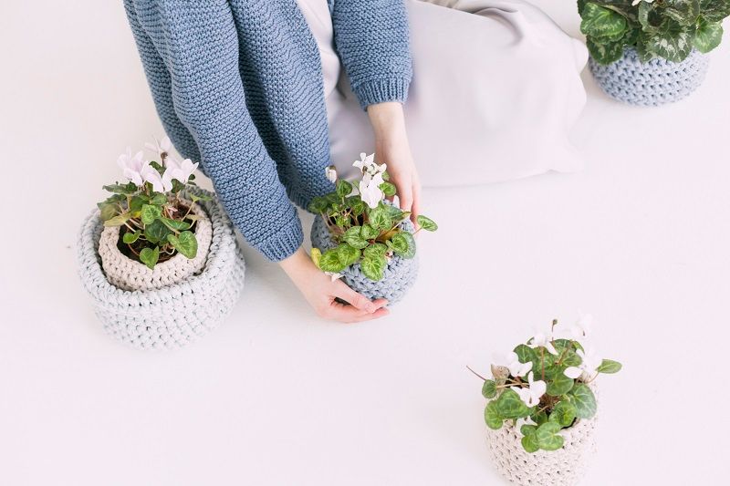 plantes-vertes-cache-pot-tricote