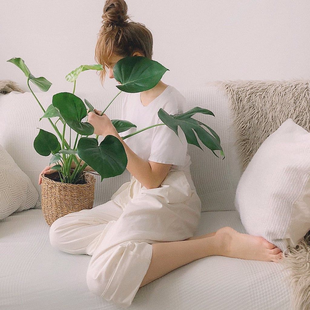 plantes-vertes-interieur-salon