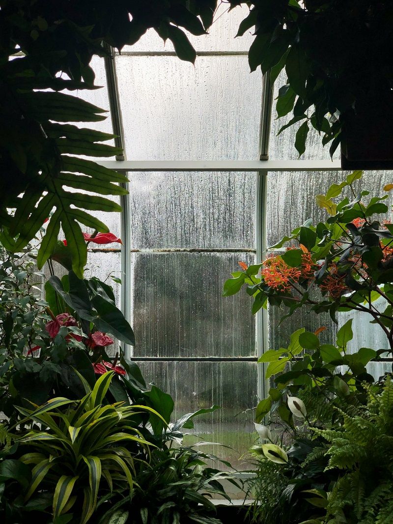 Pluie sous une v&eacute;randa