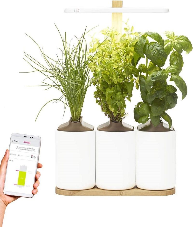 potager-d-interieur-connecte-lilo-connect