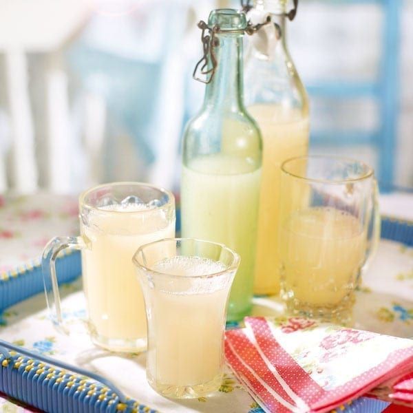 recette-ginger-beer-maison