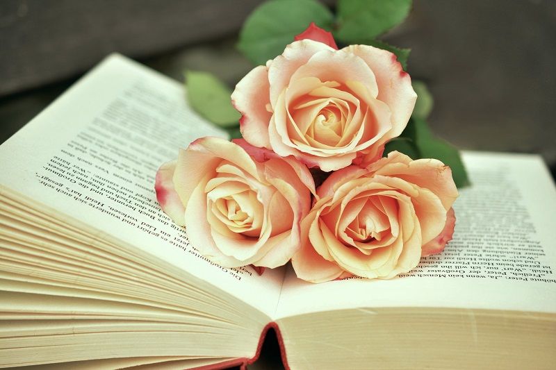roses-livre