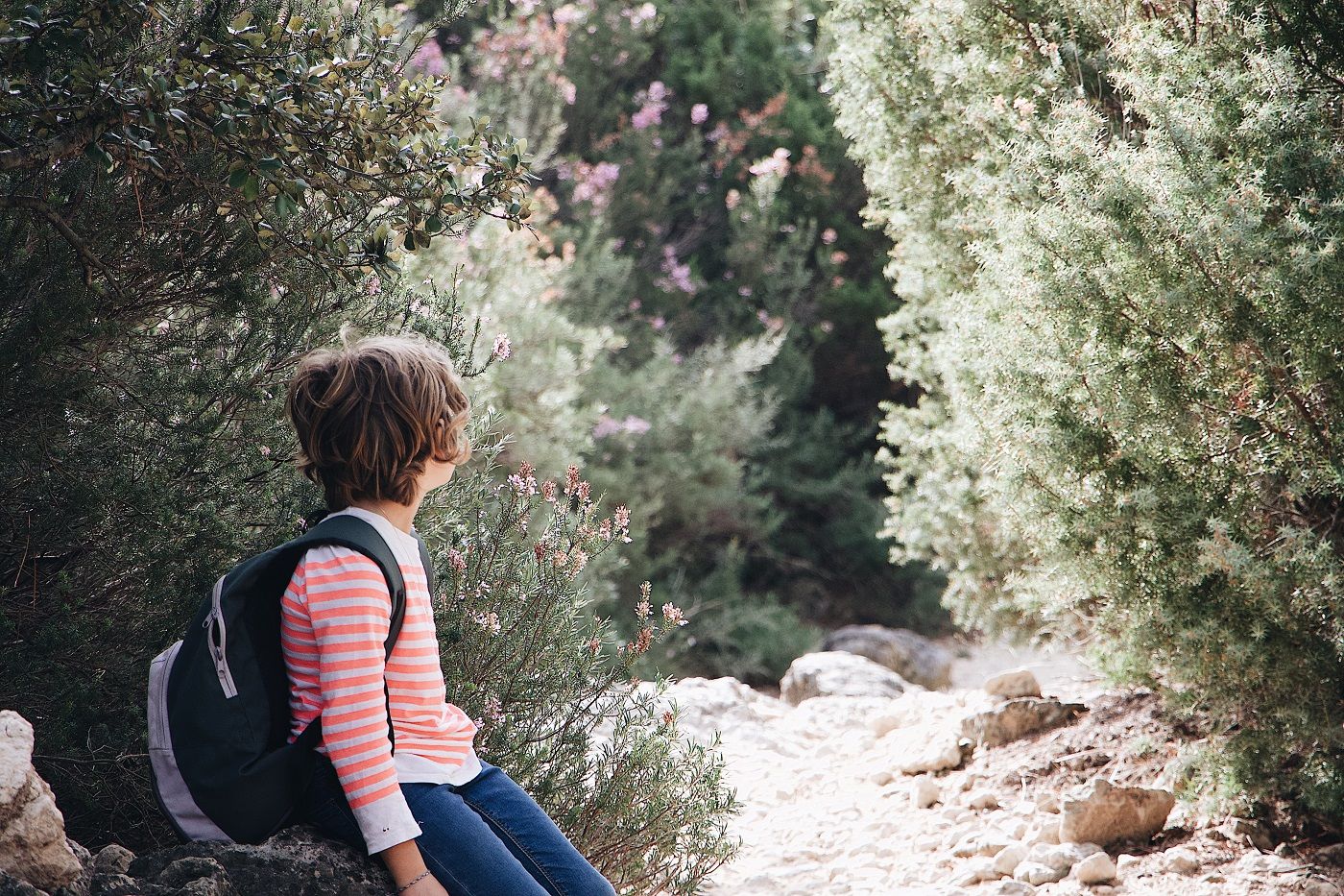 sac-a-dos-enfant-foret