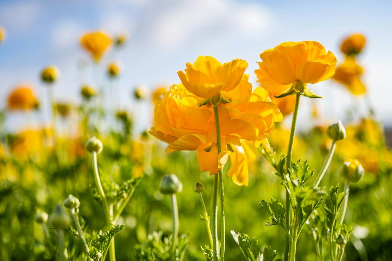 Comment bien organiser ses vacances de printemps ?