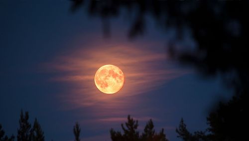 Pleine lune du 26 septembre 2026 : ces 5 signes pourraient ressentir son influence de plein fouet | So Busy Girls