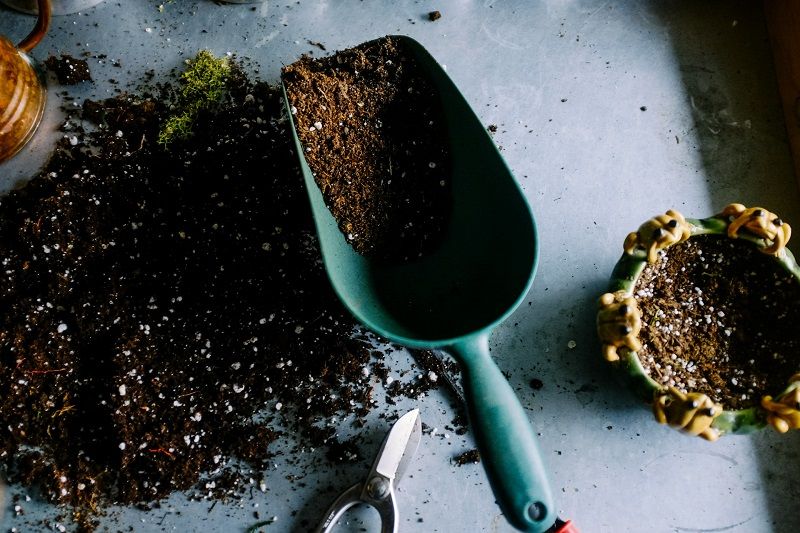 Avoir un potager en ville