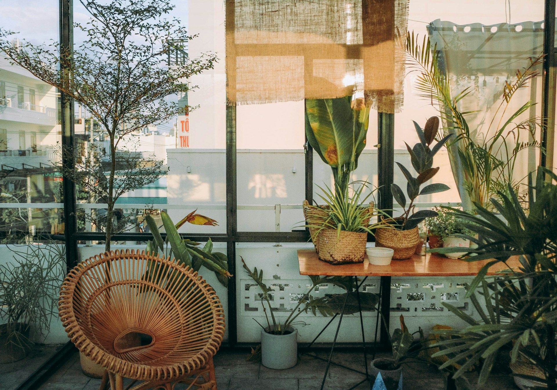 Comment sauver une plante qui va mal ?