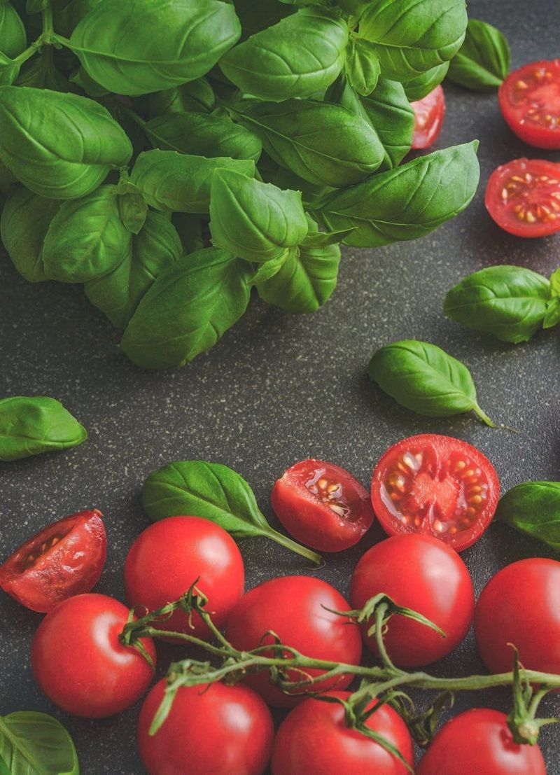 tomates-grappes-basilic
