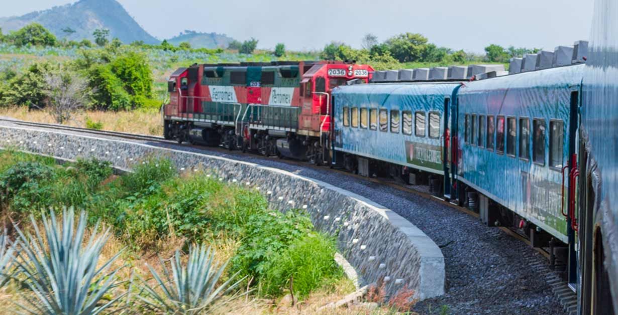 train-tequila-express