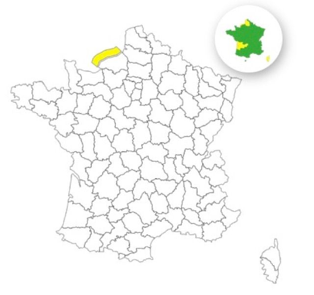 Vagues-submersion : voici le seul département placé en vigilance jaune ce mardi 21 octobre 2025