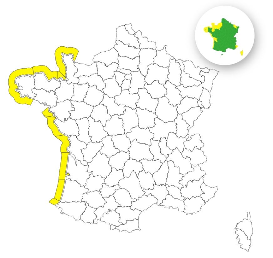 vagues-submersion-vigilance-jaune-mercredi-10-septembre-2025