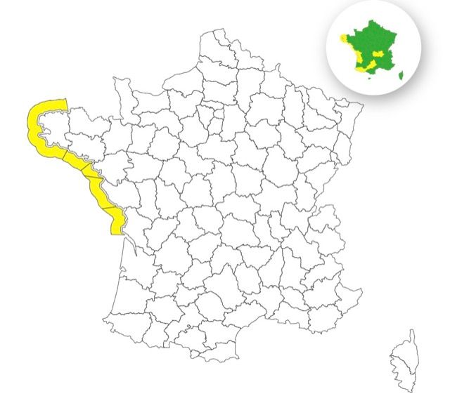 Vagues-submersion : voici les 5 d&eacute;partements plac&eacute;s en vigilance jaune ce mercredi 5 novembre 2025