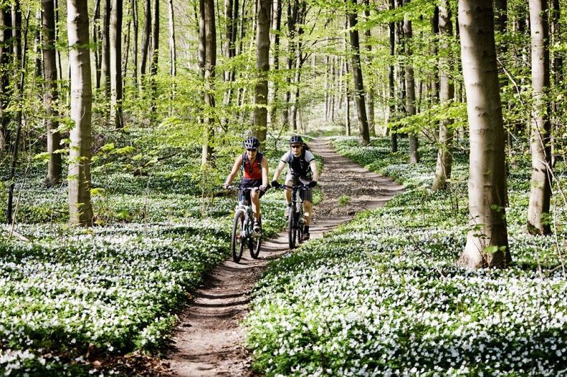 velo-foret
