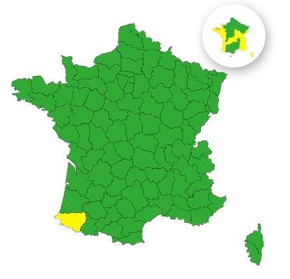 Vents violents : voici le seul d&eacute;partement plac&eacute; en vigilance jaune ce lundi
