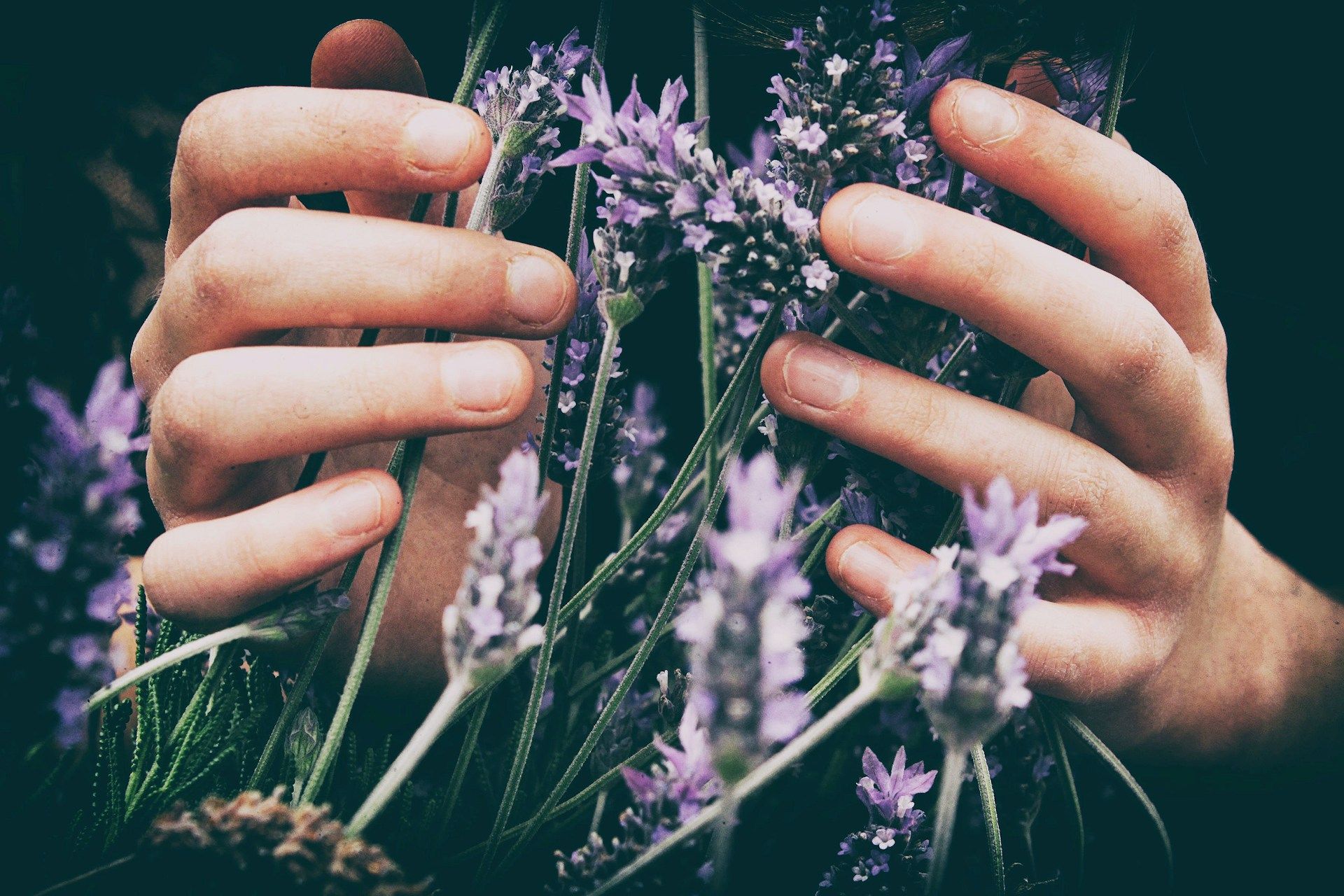 Quelles huiles essentielles aident à maigrir ?