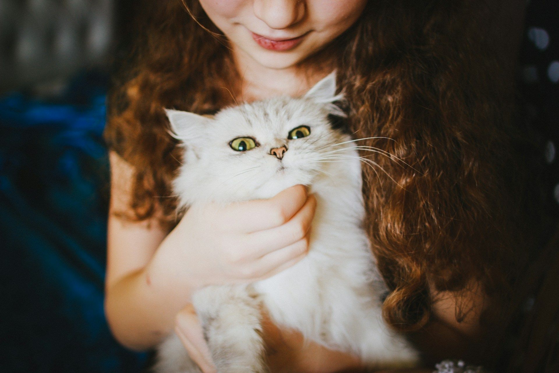Pourquoi on vit plus longtemps gr&acirc;ce aux chats ?